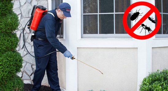 Erfelek Dezenfeksiyon böcek ilaçlama ve haşere kontrolü — ilaclama-tr.com
